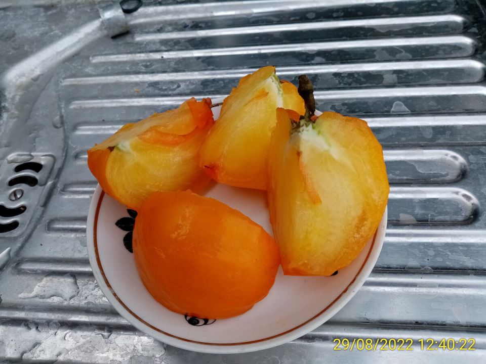 ������� ��������: ��������� ����� ��� ������ �������