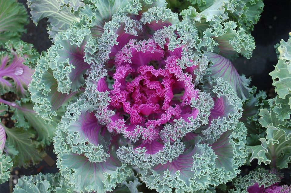 �������: �� ������ �� �������, �� � � �������� ����������