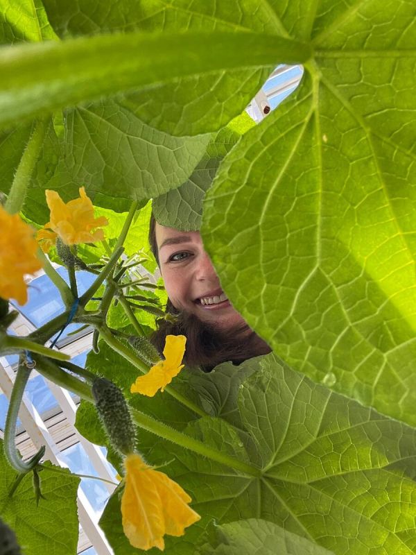 ��� ���������� �� ������� � ����: �������� ������