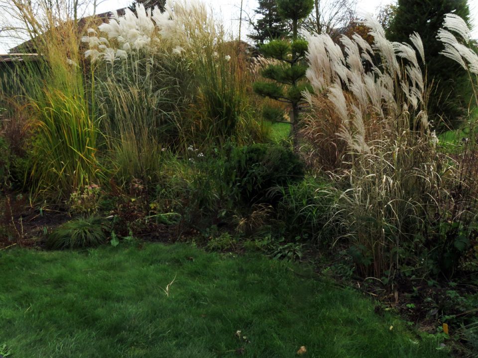 ������� ����� �� ����: ����������� ������� � ����� ��������