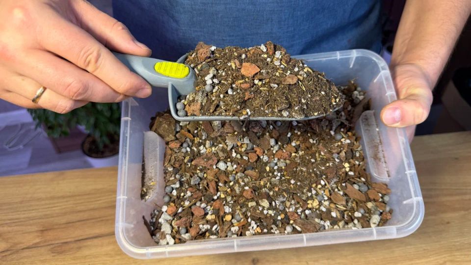 ����� ��� �������������: ��� �� ����� ��������� � ����� ��� ��������� ��������