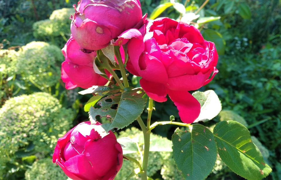 ����� ���� ��������������: ����� �� ��������� ���� ������ � ����?