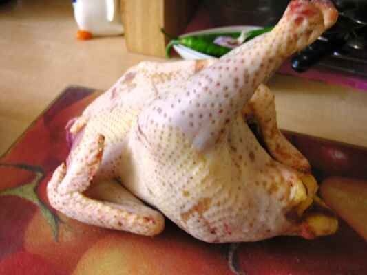 ����� ���������� ����: �������� ���, ������� ��������