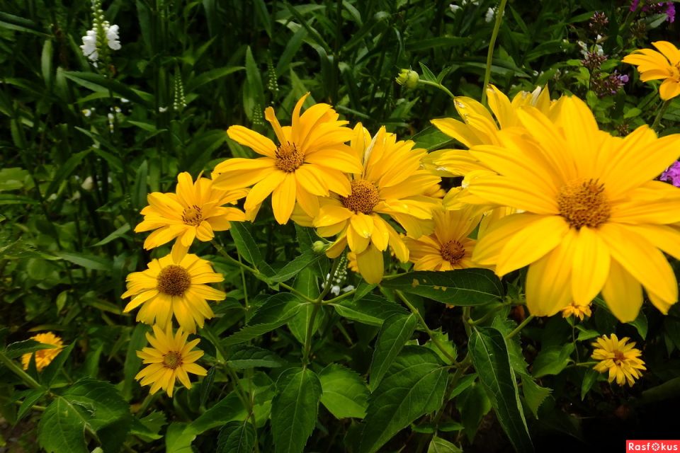 ���������: ��� ��� ��������� � ��������� � ����� ����