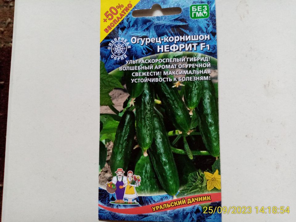 Нефритовый огурец: гордость садоводов или ловушка для новичков?