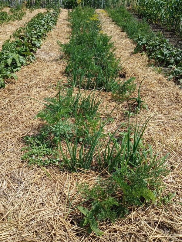 ������� ������ ����: ����� � ��� ��� ������� ���������