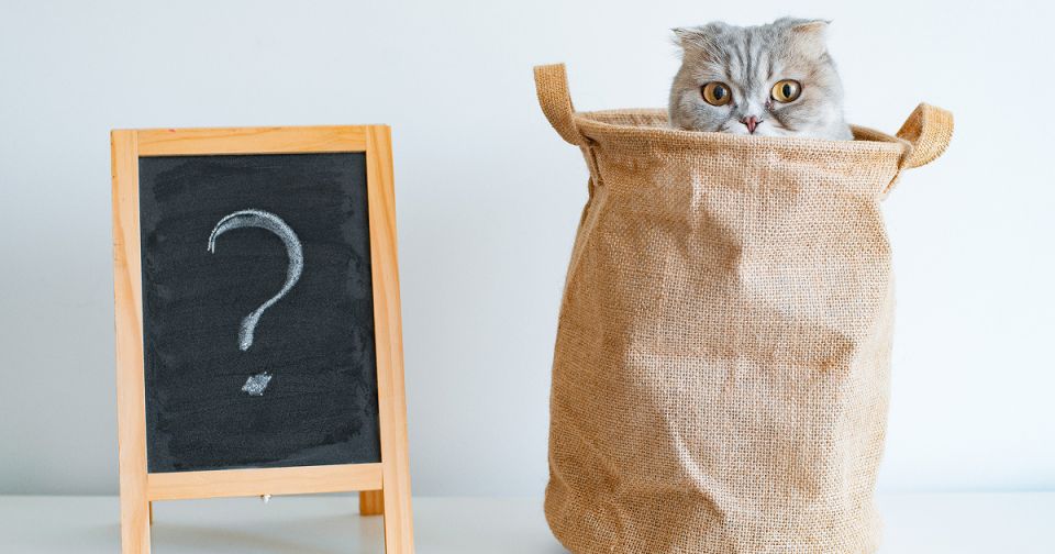 Новый взгляд на годовой отчёт УО и ТСЖ: что нужно знать